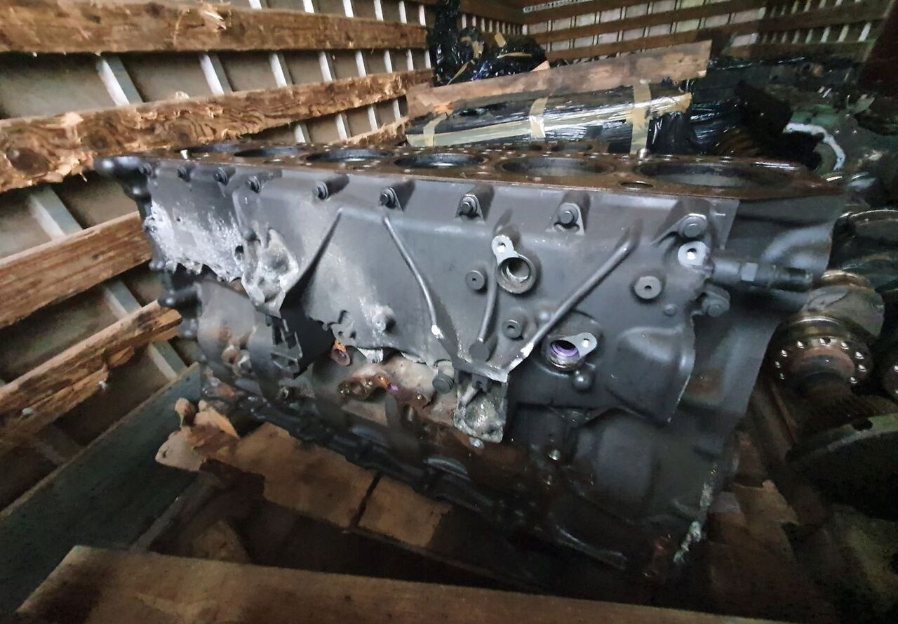 RENAULT BLOK SILNIKA SŁUPEK TŁOKI WAŁ RENAULT GAMA RANGE T DTI11 460 430 - Блок цилиндров для Грузовиков: фото 1 RENAULT BLOK SILNIKA SŁUPEK TŁOKI WAŁ RENAULT GAMA RANGE T DTI11 460 430 - Блок цилиндров для Грузовиков: фото 1