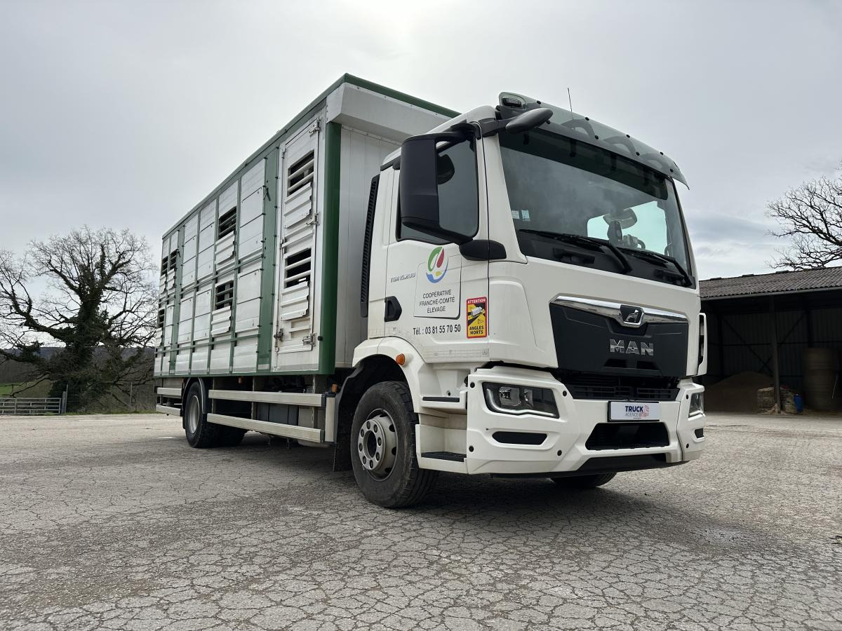 MAN TGM 15.290 - Грузовик для перевозки животных: фото 4 MAN TGM 15.290 - Грузовик для перевозки животных: фото 4