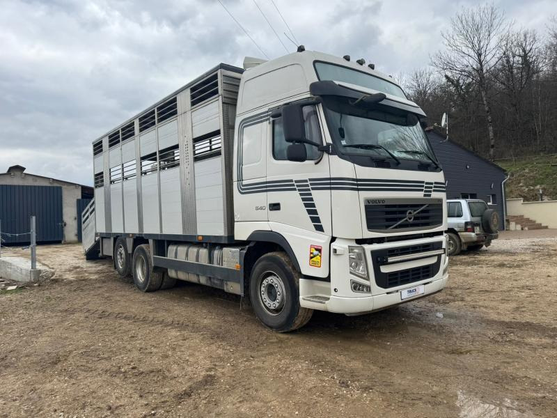 Volvo FH 540 - Грузовик для перевозки животных: фото 2 Volvo FH 540 - Грузовик для перевозки животных: фото 2