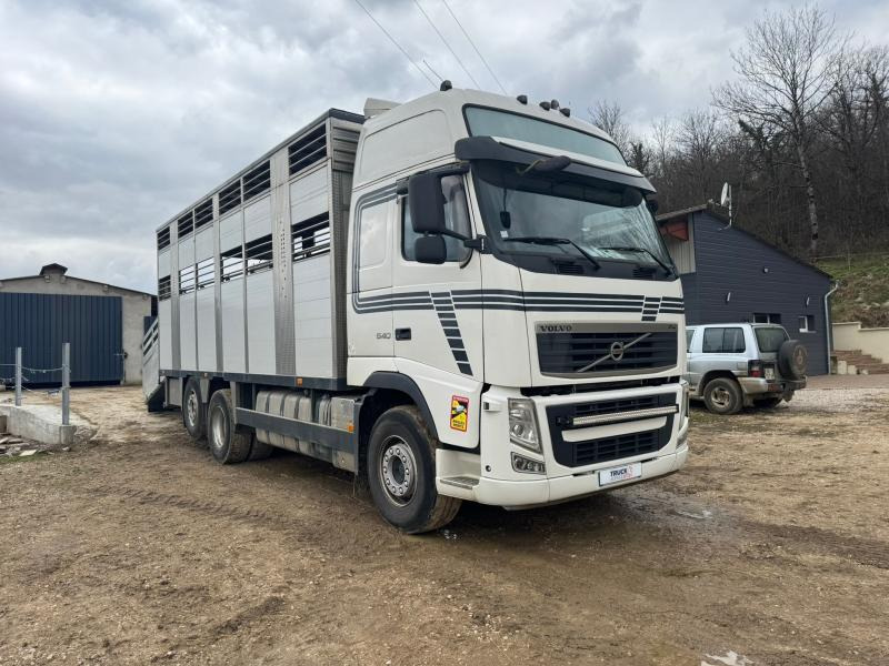 Volvo FH 540 - Грузовик для перевозки животных: фото 4 Volvo FH 540 - Грузовик для перевозки животных: фото 4