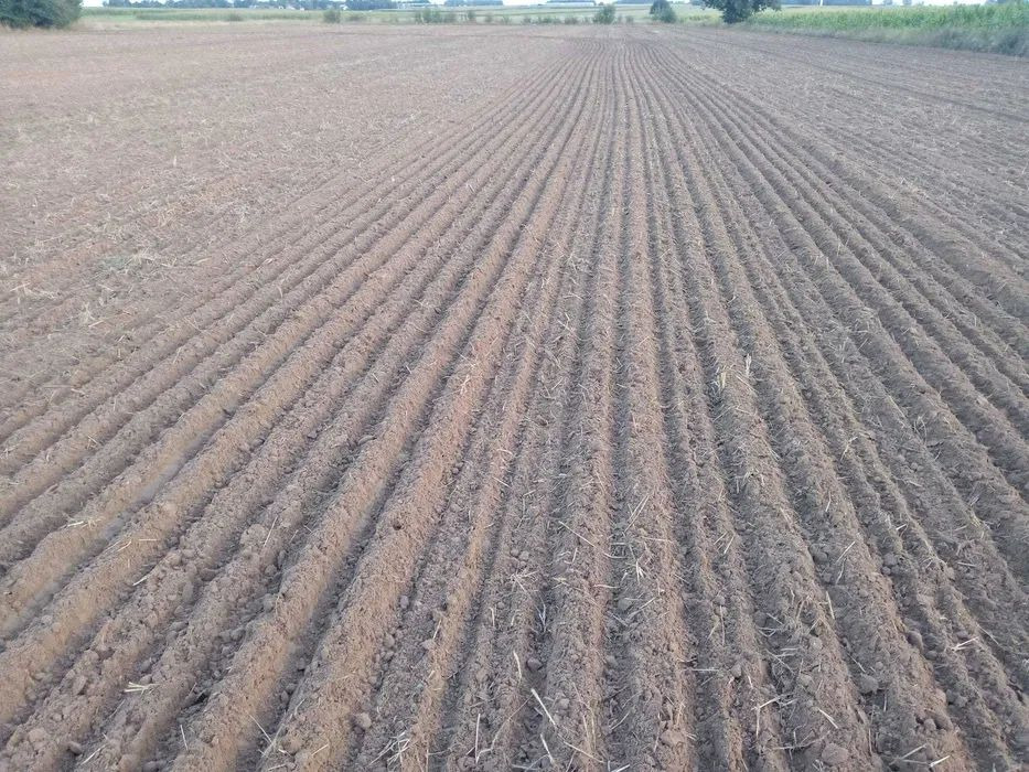 Lemken Karat 9/500 agregat bezorkowy - Техника для обработки почвы: фото 2 Lemken Karat 9/500 agregat bezorkowy - Техника для обработки почвы: фото 2