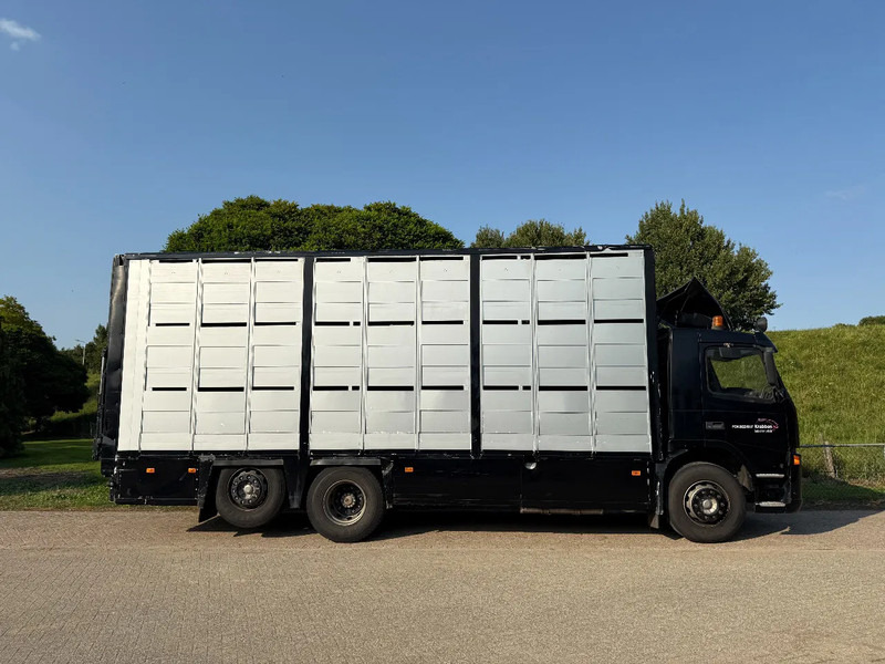 Грузовик для перевозки животных Volvo FM 300 Livestock Cuppers 3 laags 6x2: фото 20 Грузовик для перевозки животных Volvo FM 300 Livestock Cuppers 3 laags 6x2: фото 20