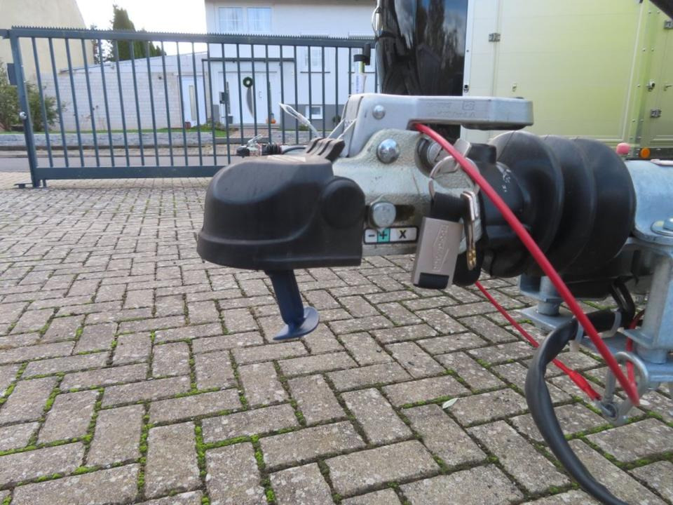 Прицеп-коневоз Böckmann Pferdeanhänger Champion R, Alub., 100 km/h: фото 14