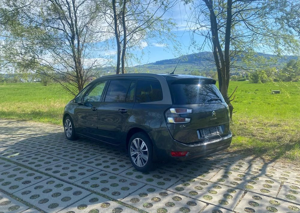 Микроавтобус, Пассажирский фургон Citroën C4 Grand Picasso BlueHDi 120 EAT6 Selection: фото 17 Микроавтобус, Пассажирский фургон Citroën C4 Grand Picasso BlueHDi 120 EAT6 Selection: фото 17