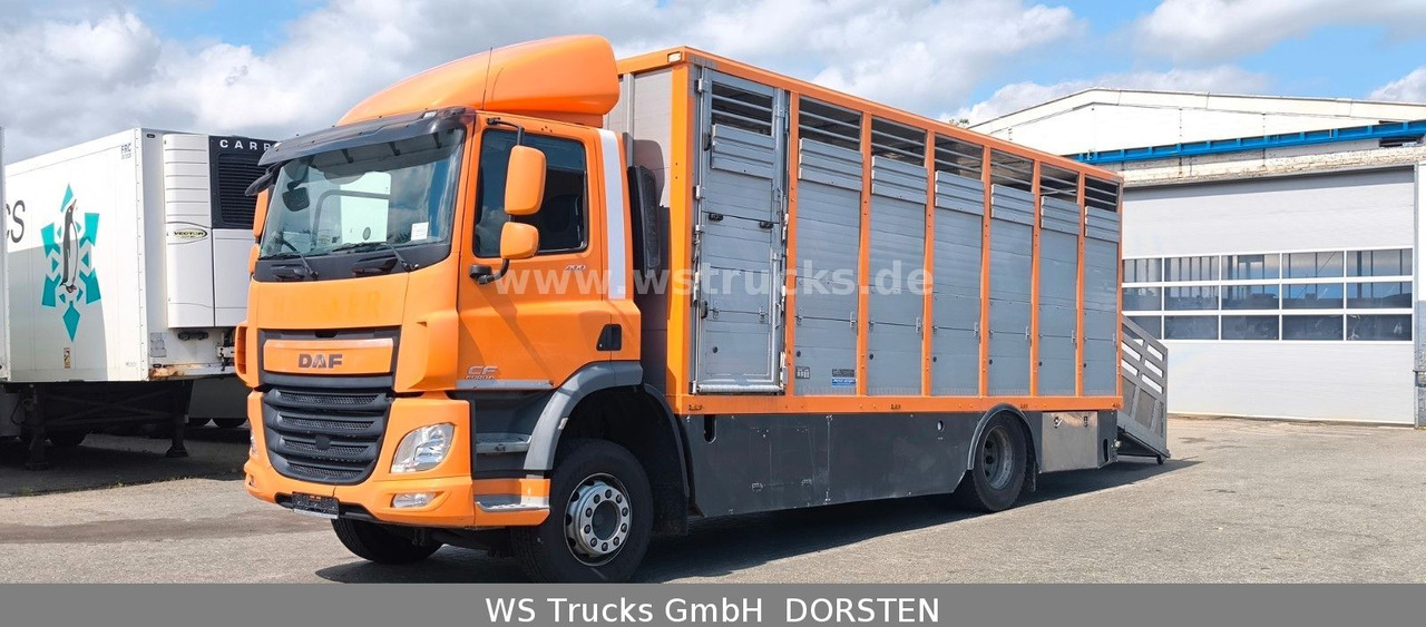 Коневоз DAF CF 400 Menke Einstock Viehtransporter: фото 9