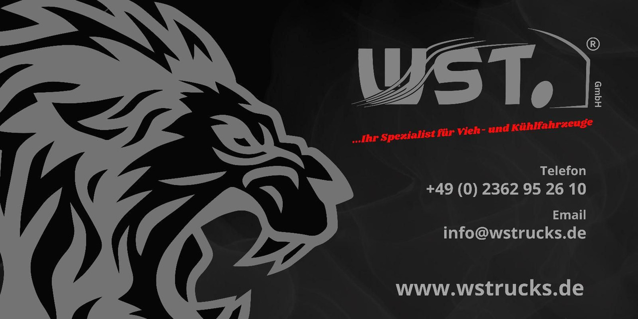 Коневоз MAN TGX 26.480 XL KABA   3 Stock Viehtransporter: фото 30