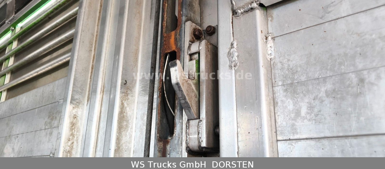 Коневоз MAN TGX 26.480 XL KABA   3 Stock Viehtransporter: фото 14