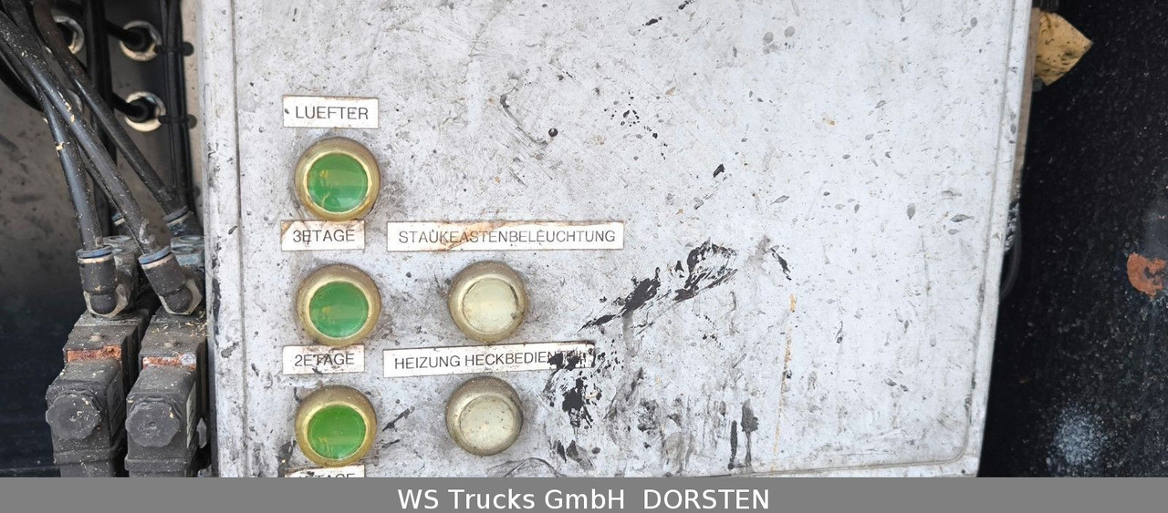 Коневоз MAN TGX 26.480 XL KABA   3 Stock Viehtransporter: фото 28