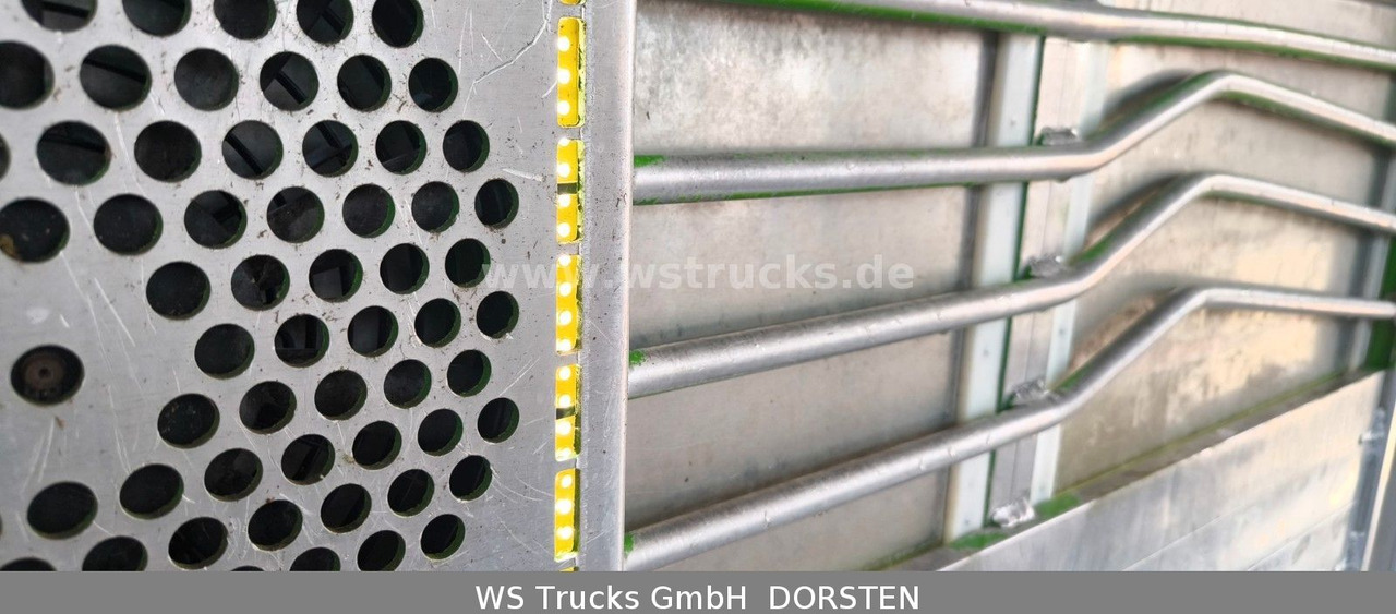 Коневоз MAN TGX 26.480 XL KABA   3 Stock Viehtransporter: фото 15