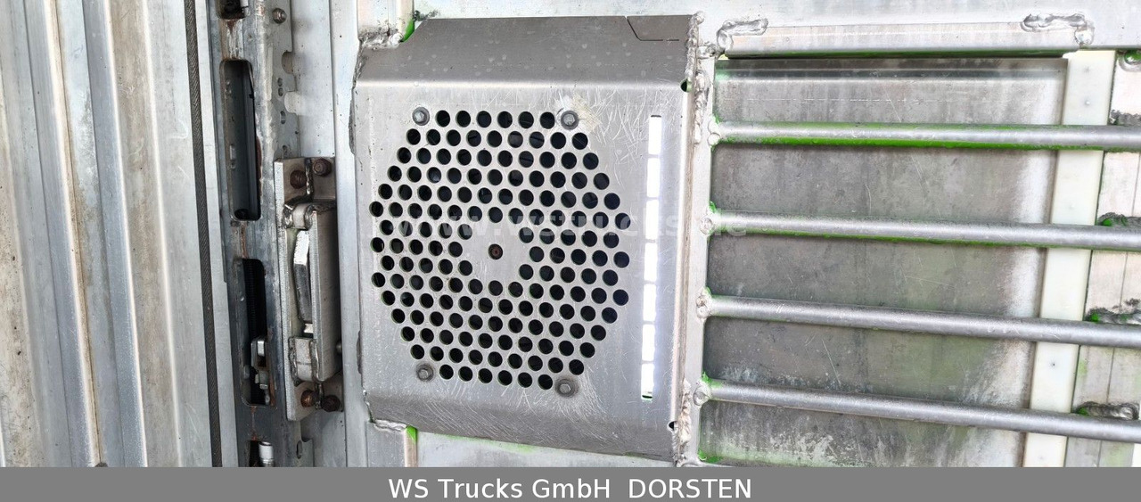 Коневоз MAN TGX 26.480 XL KABA   3 Stock Viehtransporter: фото 13