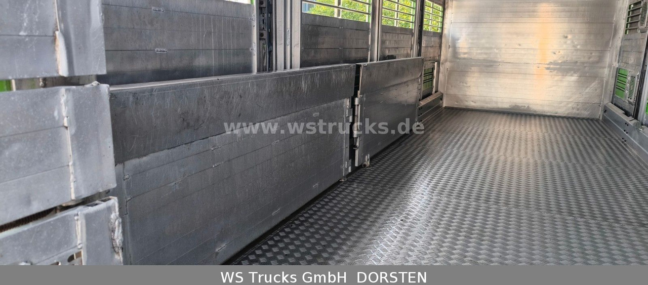 Коневоз MAN TGX 26.480 XL KABA   3 Stock Viehtransporter: фото 11