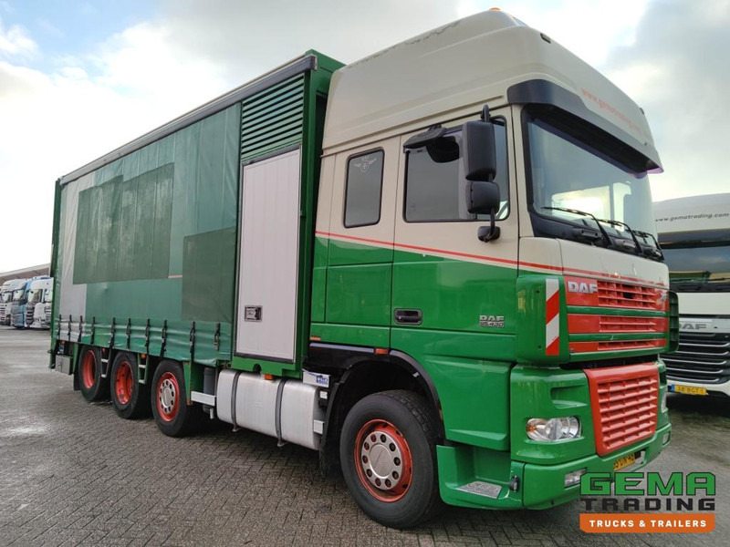 DAF FAK XF95.430 8x2 SuperSpaceCab Euro3 - CurtainSider 7.31m + Ramp 16T - MachineTransporter - 6 Persons (V558) - Автовоз: фото 3 DAF FAK XF95.430 8x2 SuperSpaceCab Euro3 - CurtainSider 7.31m + Ramp 16T - MachineTransporter - 6 Persons (V558) - Автовоз: фото 3