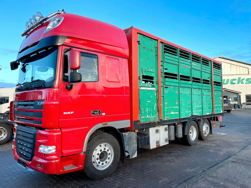DAF XF 105.460 2-Stock Finkl Viehaufbau / Lenkachs - Грузовик для перевозки животных: фото 2 DAF XF 105.460 2-Stock Finkl Viehaufbau / Lenkachs - Грузовик для перевозки животных: фото 2