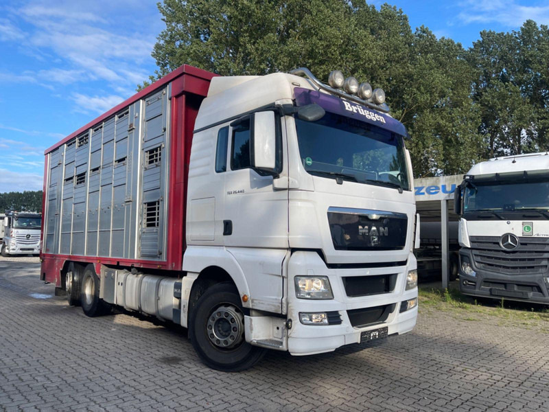 MAN TGX 26.400 6x2-2 LL 3 Stück Finkl Hubdach - Грузовик для перевозки животных: фото 5 MAN TGX 26.400 6x2-2 LL 3 Stück Finkl Hubdach - Грузовик для перевозки животных: фото 5