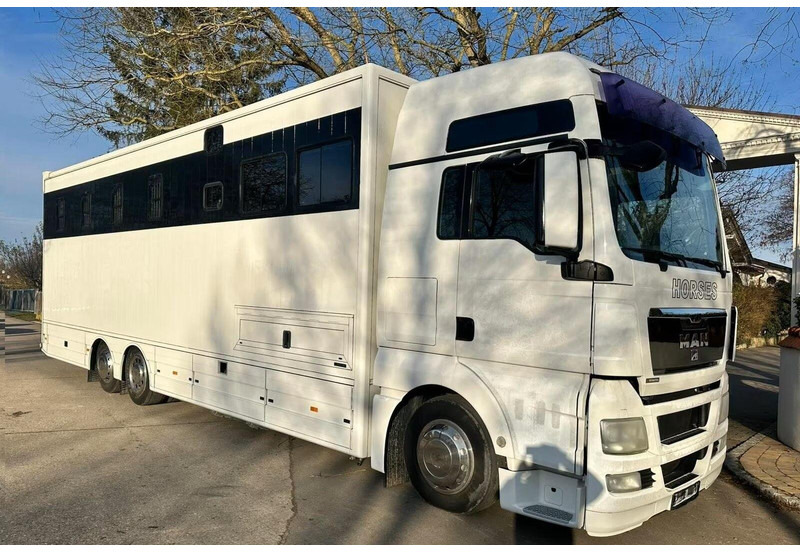 MAN TGX 26.440 - Horse transporter - Коневоз: фото 2 MAN TGX 26.440 - Horse transporter - Коневоз: фото 2