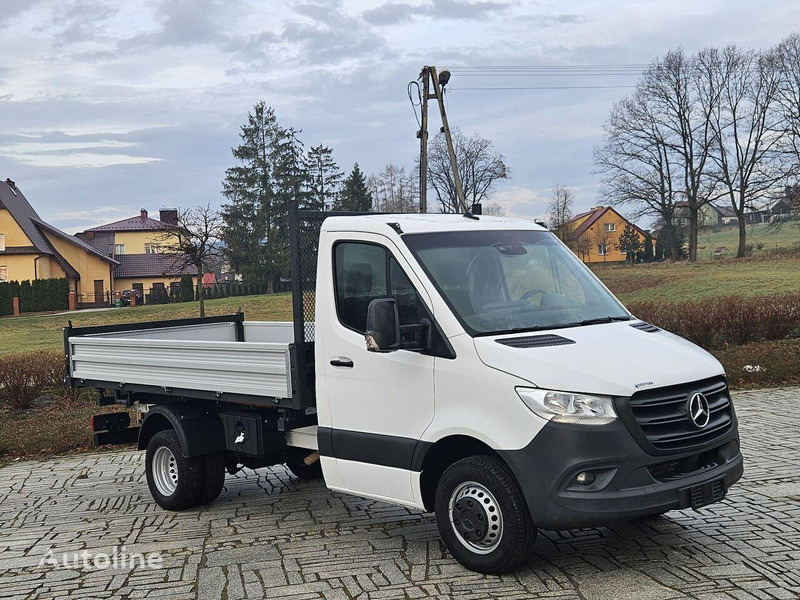 Малотоннажный самосвал Mercedes-Benz Sprinter 419/519 CDI 3 way tipper: фото 7 Малотоннажный самосвал Mercedes-Benz Sprinter 419/519 CDI 3 way tipper: фото 7