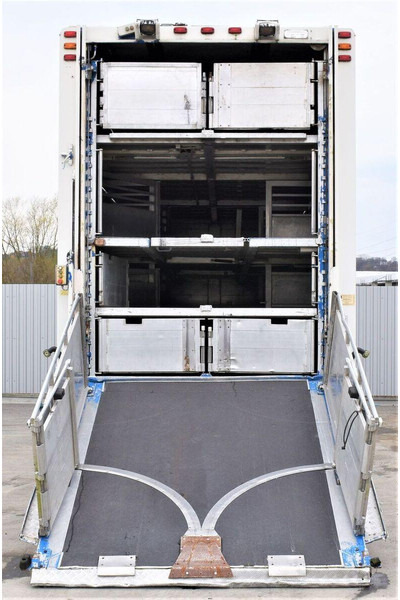 Scania R 500 - Грузовик для перевозки животных: фото 4 Scania R 500 - Грузовик для перевозки животных: фото 4